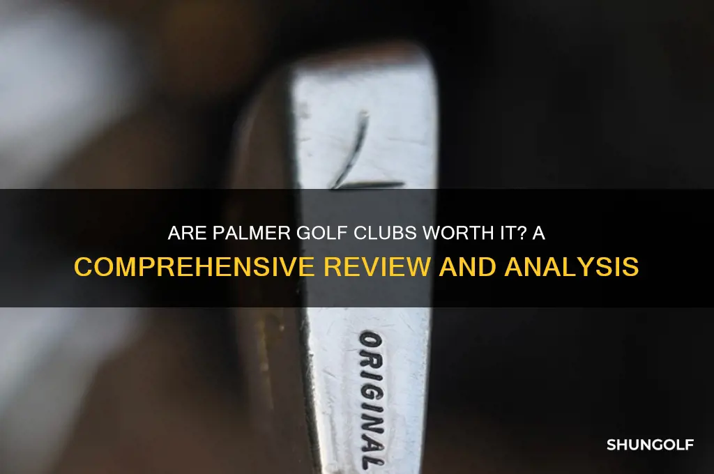 are palmer golf clubs good