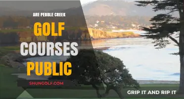 Are Pebble Creek Golf Courses Public? Exploring Access and Membership Options