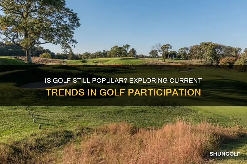 are people playing golf