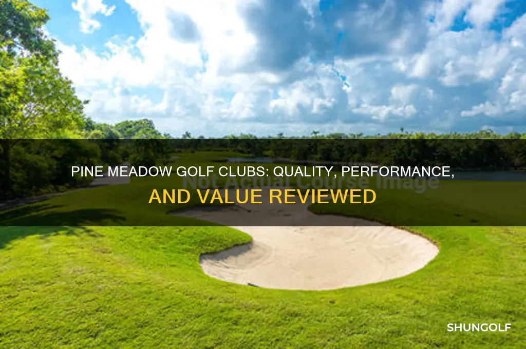 are pine meadow golf clubs good