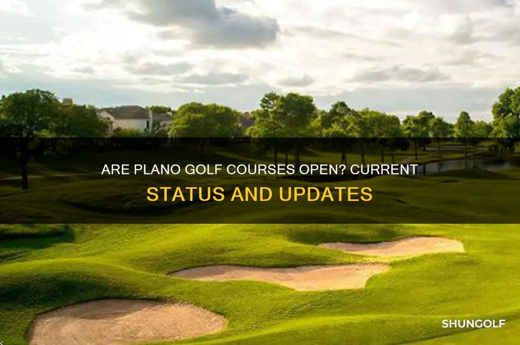 are plano golf courses open