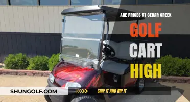 Are Cedar Creek Golf Cart Prices Too High? A Detailed Review