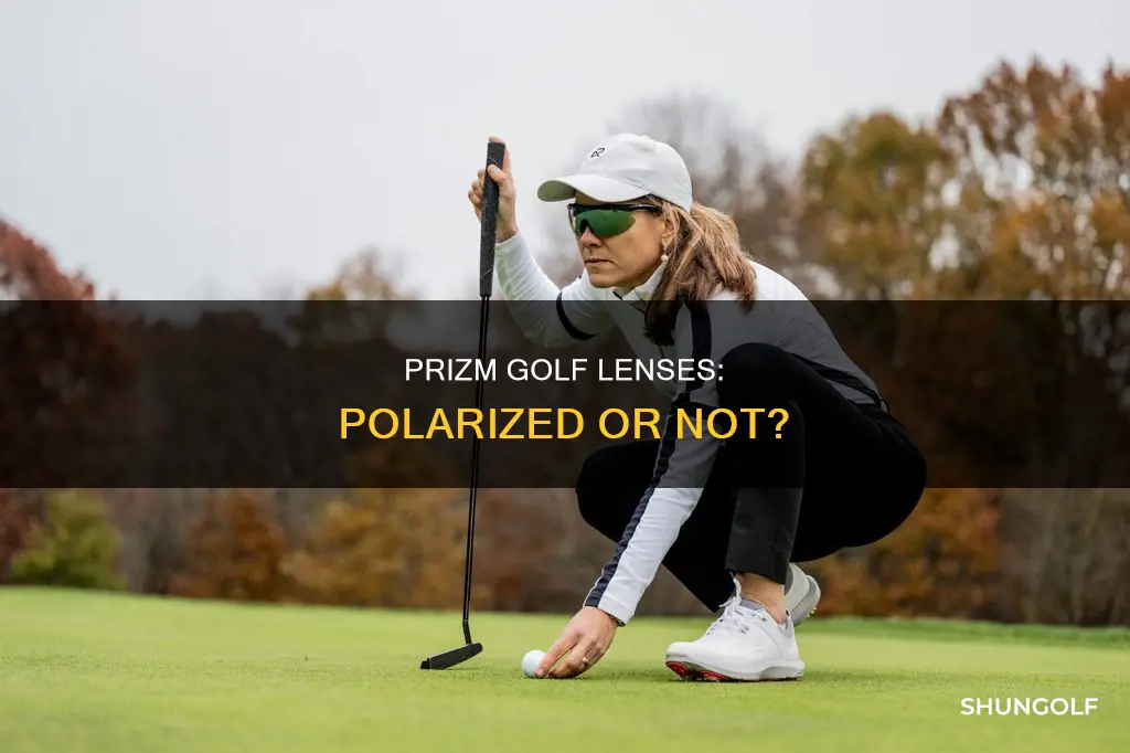 are prizm golf lenses polarized