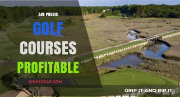 Are Public Golf Courses Profitable? Exploring Financial Viability and Challenges