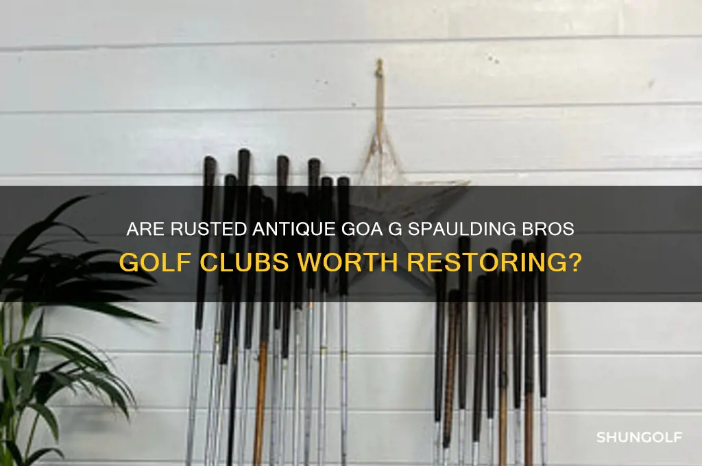 are rusted antique goa g spaulding bros golf clubs