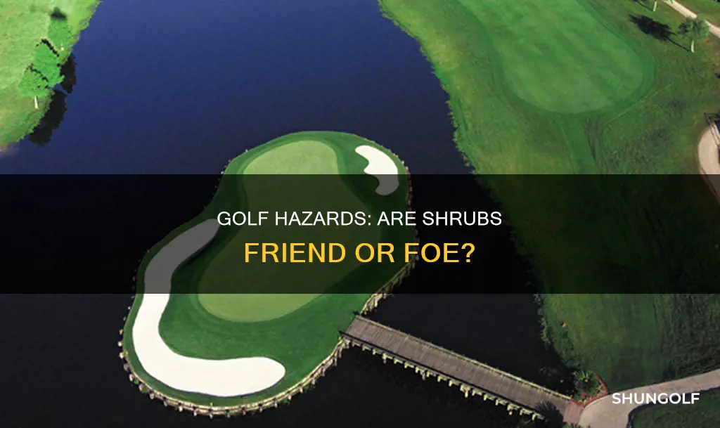 are schrubs hazards in golf