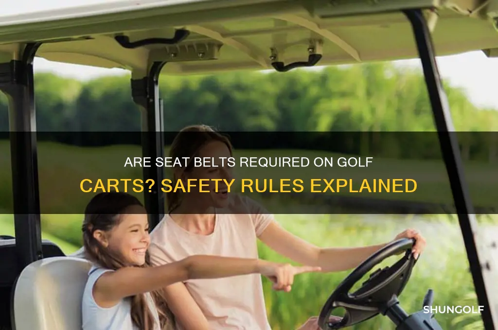 are seat belts required on golf carts