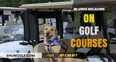 Service Dogs on Golf Courses: Policies, Etiquette, and Accessibility Explained
