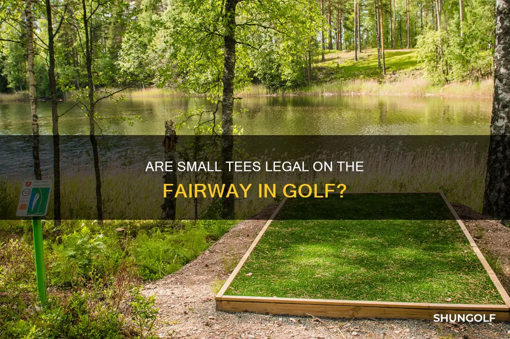are small tees legal on the fairway in golf