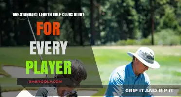 Standard Golf Clubs: Are They the Perfect Fit for Every Player?
