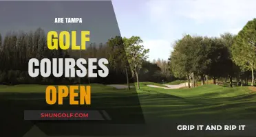 Tampa Golf Courses: Current Open Status and Updates