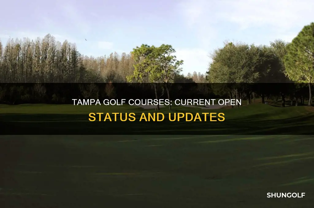 are tampa golf courses open