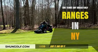 Discovering Grass Golf Ranges in New York: Are They Available?