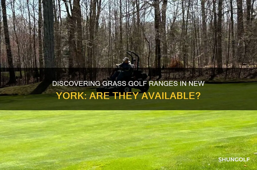 are tehre any grass golf ranges in ny