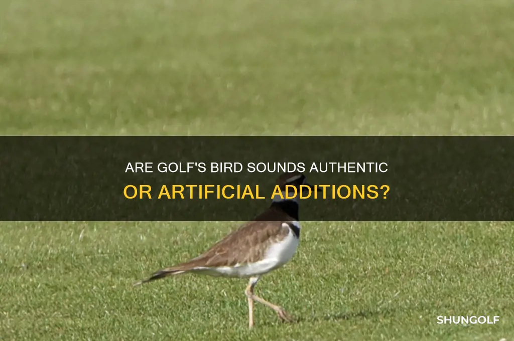 are the bird sounds in golf real