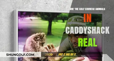 Are Caddyshack's Golf Course Animals Real or Just Movie Magic?