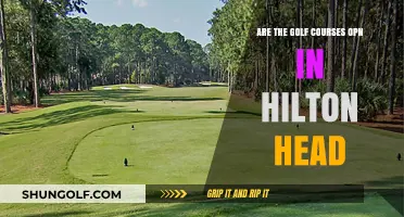Hilton Head Golf Courses: Are They Open for Play?
