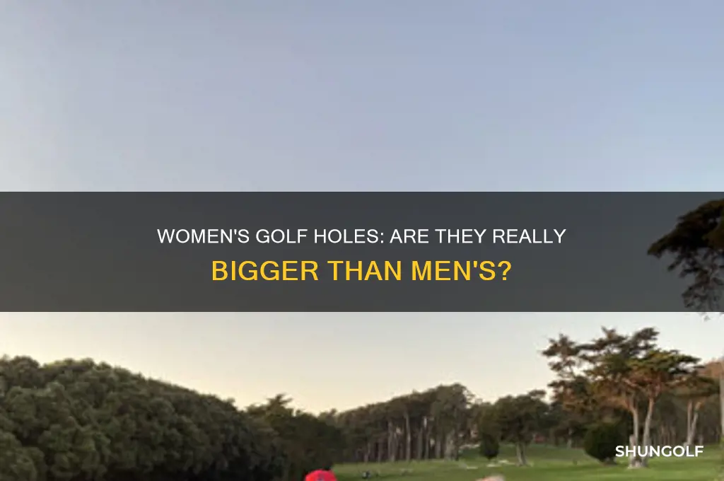 are the holes bigger in women