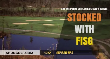 Florida Golf Course Ponds: Are They Stocked with Fish?