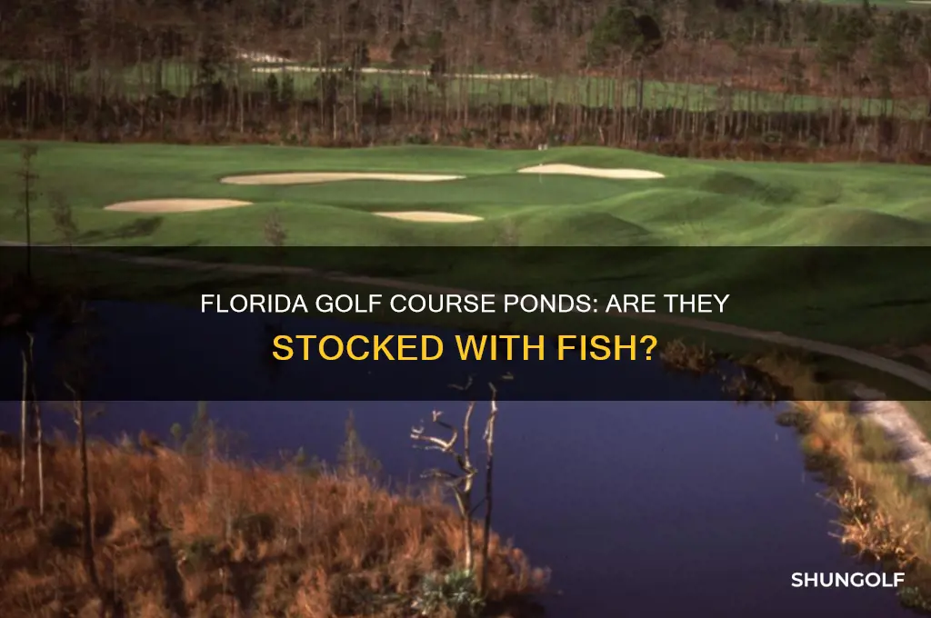 are the ponds on florida