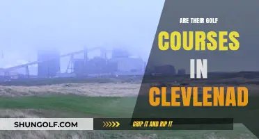 Exploring Cleveland's Golf Scene: Courses, Greens, and Fairways