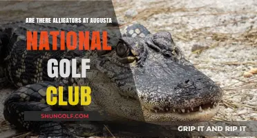 Alligators at Augusta National: Fact or Fiction? Exploring the Greens