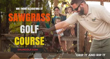 Alligators at Sawgrass Golf Course: Fact or Fiction?