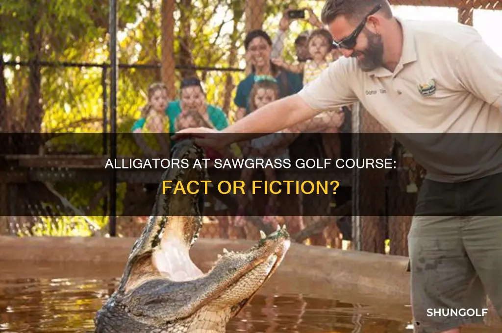 are there alligators at sawgrass golf course