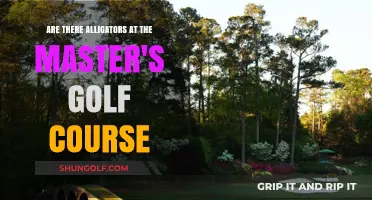 Alligators at Augusta: The Masters Golf Course's Wildlife Presence