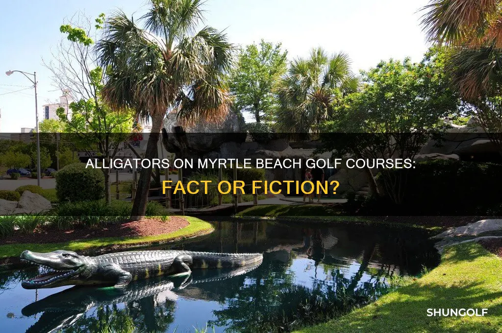 are there alligators in myrtle beach golf courses