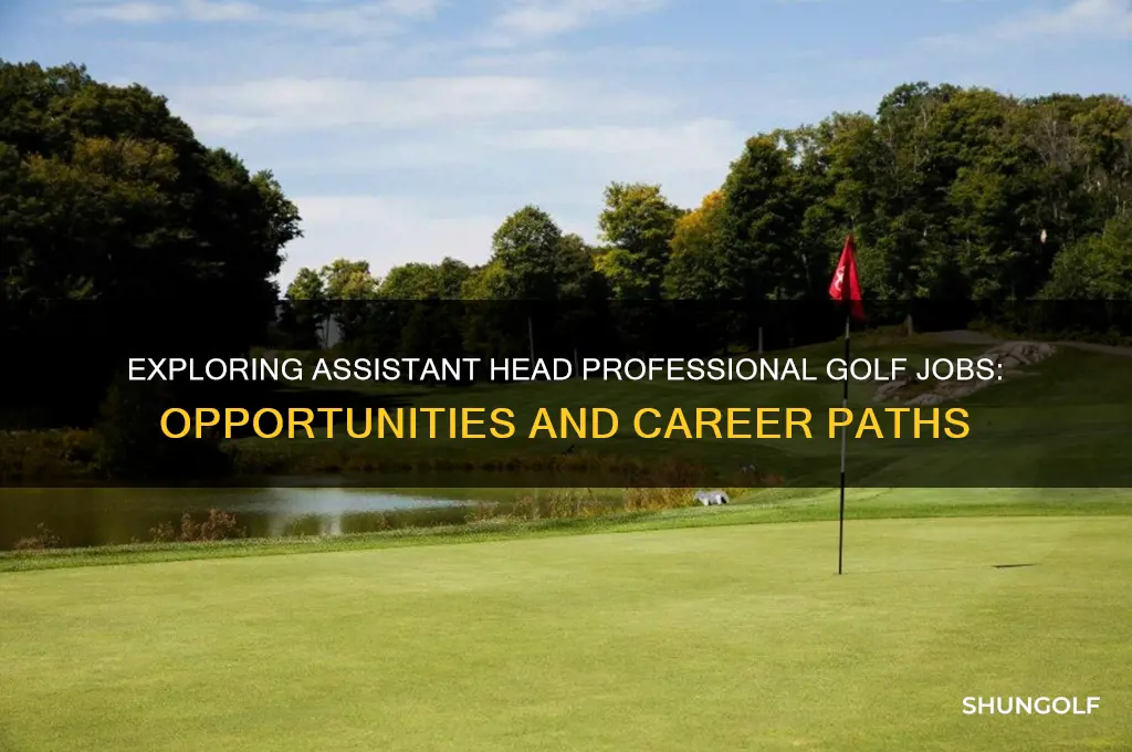 are there any assistant head professional golf jobs