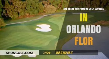 Orlando's Iconic Golf Courses: A Guide to Famous Greens in Florida