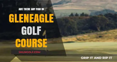 Exploring Gleneagle Golf Course: Are There Fish in Its Waters?