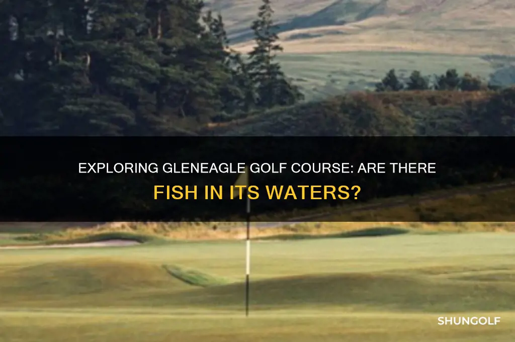 are there any fish in gleneagle golf course