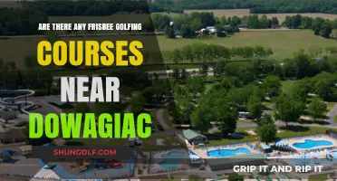 Discover Frisbee Golf Courses Near Dowagiac: Your Ultimate Guide