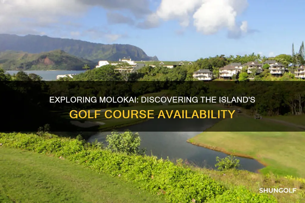 are there any golf course on molokai