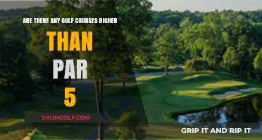 Exploring Golf's Limits: Are There Courses Beyond Par 5?