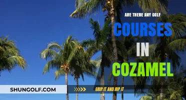 Exploring Cozumel: Are There Golf Courses on the Island?
