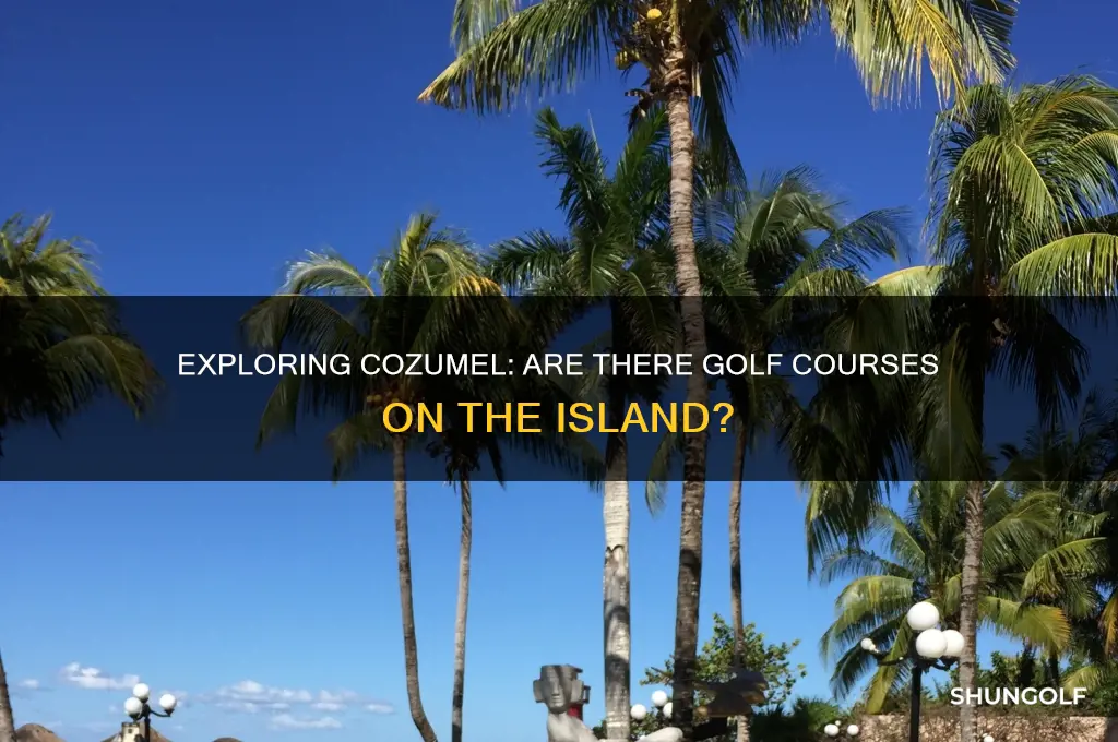 are there any golf courses in cozamel