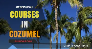 Exploring Cozumel's Golf Scene: Are There Courses on the Island?