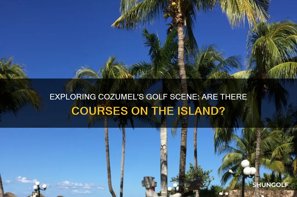 are there any golf courses in cozumel