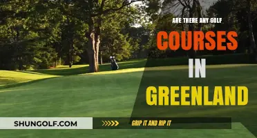 Exploring Greenland's Golf Scene: Are There Courses in the Arctic?