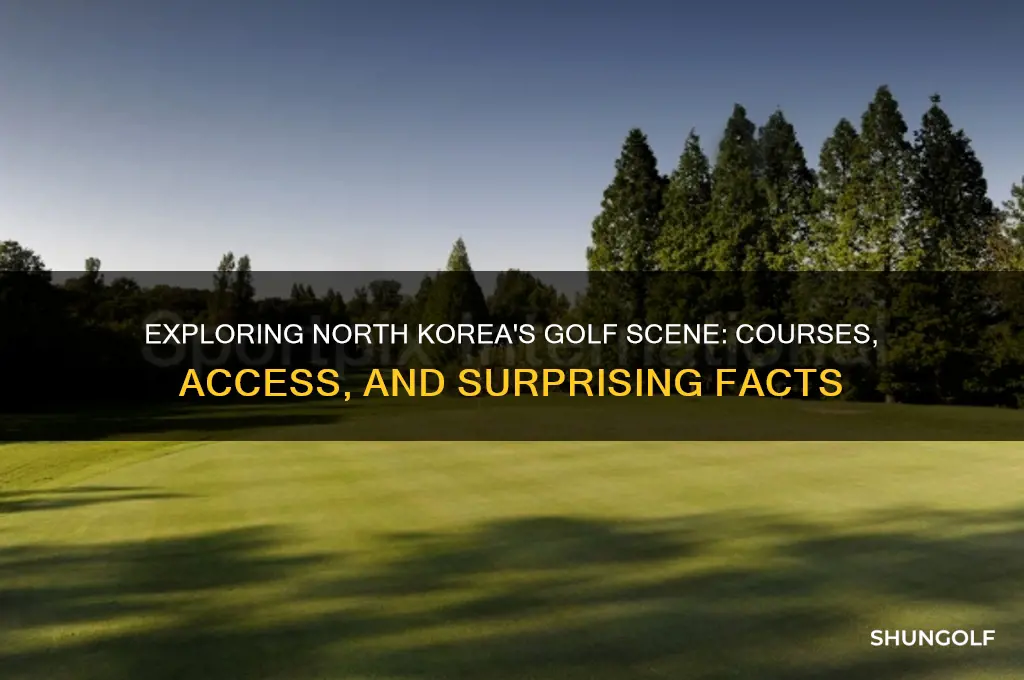are there any golf courses in north korea