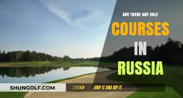 Exploring Russia's Golf Scene: Are There Courses in the Country?