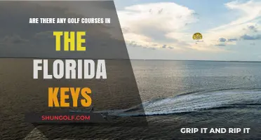 Exploring Golf Courses in the Florida Keys: A Tropical Fairway Guide