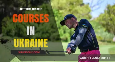 Exploring Ukraine's Golf Scene: Courses, Locations, and Accessibility