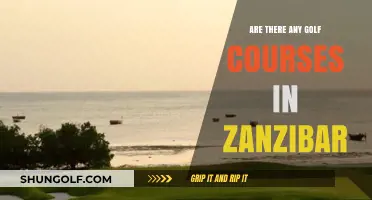 Exploring Zanzibar's Golf Scene: Are There Courses on the Island?