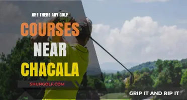 Exploring Golf Courses Near Chacala: A Guide to Nearby Greens