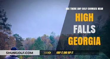 Discover Golf Courses Near High Falls, Georgia: A Local Guide