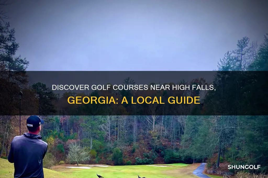 are there any golf courses near high falls georgia